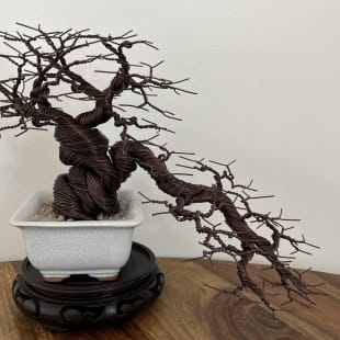 Shohin Cascade