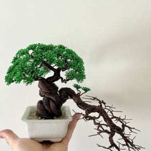 Shohin Cascade