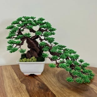 Shohin Cascade