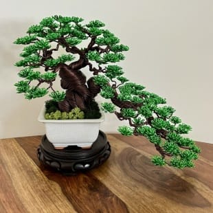 Shohin Cascade