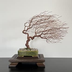 Shohin-Gravel-In-The-Wind_01