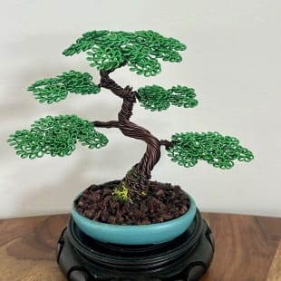 Shohin Mini II.