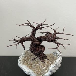 Shohin Mini