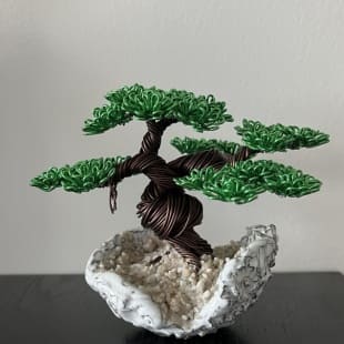 Shohin Mini