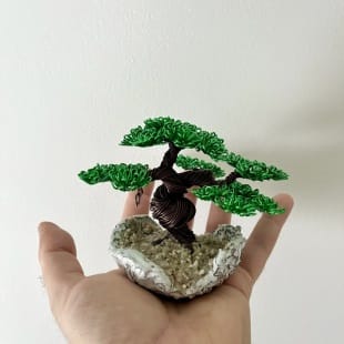 Shohin Mini