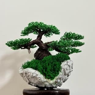 Shohin Mini