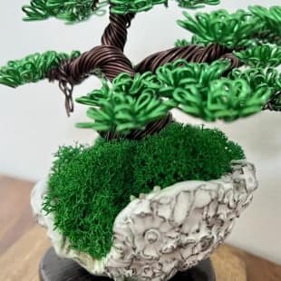 Shohin Mini