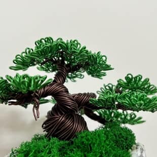 Shohin Mini