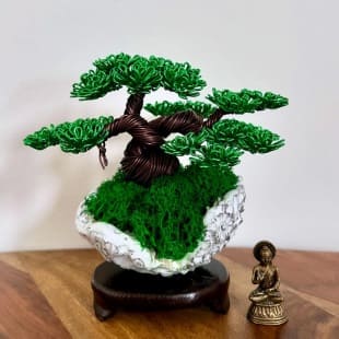 Shohin Mini