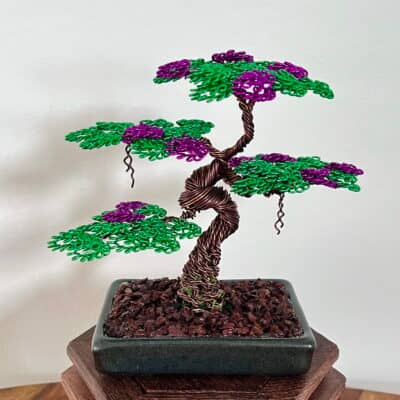 Shohin Mini III.