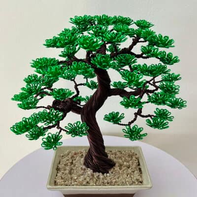 Shohin In Sand