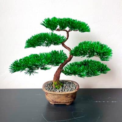 Pine Shohin I.